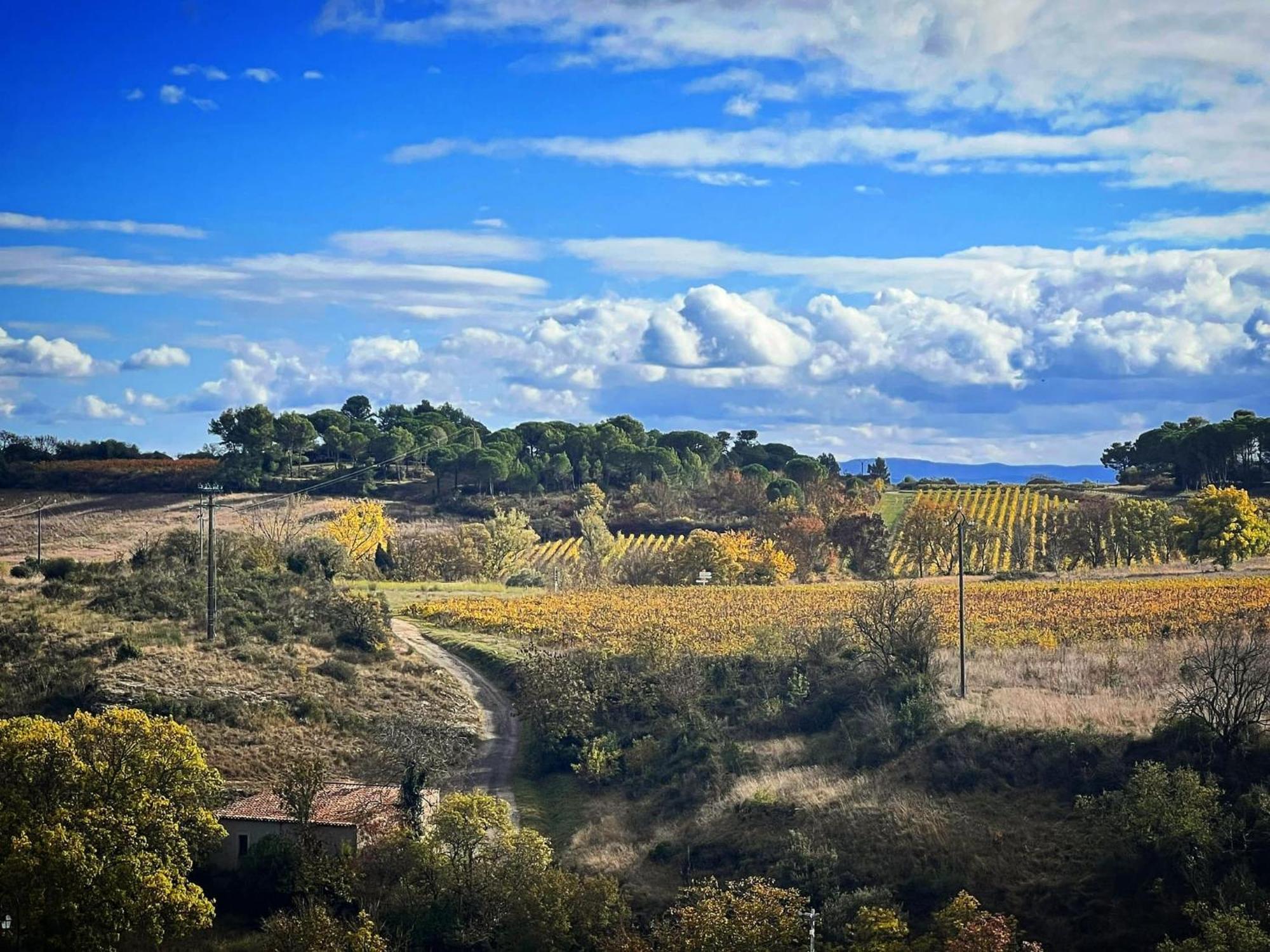 Logis Hotel Restaurant La Bergerie Aragon Zewnętrze zdjęcie