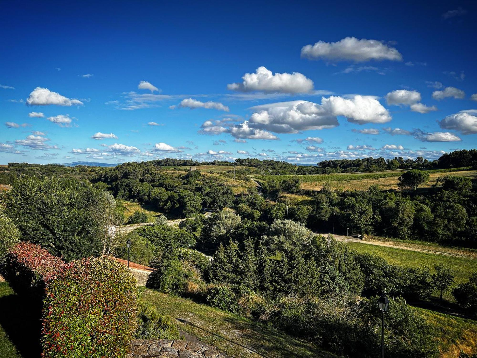 Logis Hotel Restaurant La Bergerie Aragon Zewnętrze zdjęcie